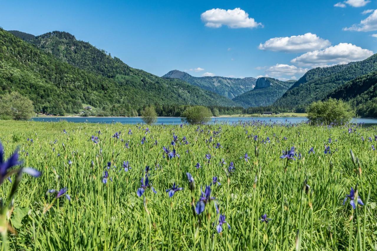 Hotel Fischerwirt Natur Waldspa Faistenau Eksteriør billede