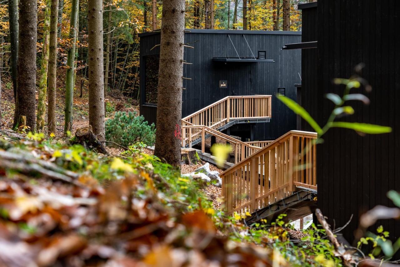 Hotel Fischerwirt Natur Waldspa Faistenau Eksteriør billede